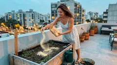 ¿La harina de maíz sirve para el jardín? Lo que sí funciona y lo que es mito