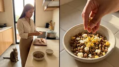 ¿Los gatos pueden comer huevo? Beneficios, riesgos y cada cuánto darlo