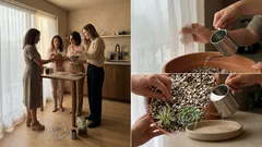 Cómo cuidar suculentas en interior para que no se estiren ni se pudran